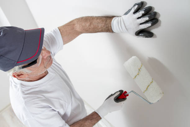 Best Asbestos and Lead Testing During Mold Inspection  in Lake Barcroft, VA