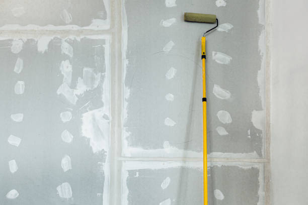 Mold Removal for HVAC Installations in Lake Barcroft, VA