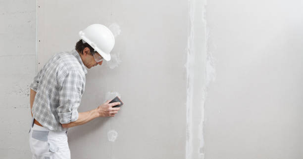 Best Real Estate Mold Inspection  in Lake Barcroft, VA